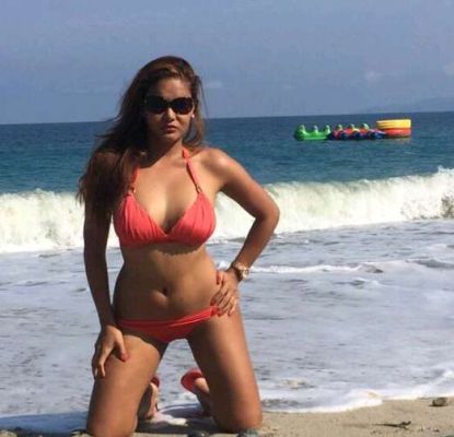 picture Fairy (meetings)